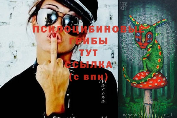 mix Горнозаводск