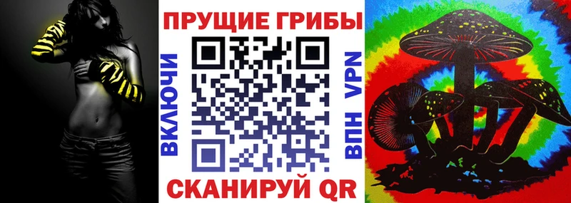 Купить где  Королёв  Галлюциногенные грибы GOLDEN TEACHER 