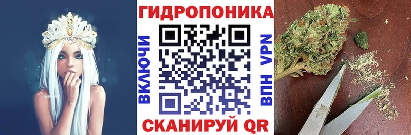 Бошки Шишки THC 21%  Купить где  Королёв 